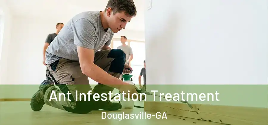  Ant Infestation Treatment Douglasville-GA