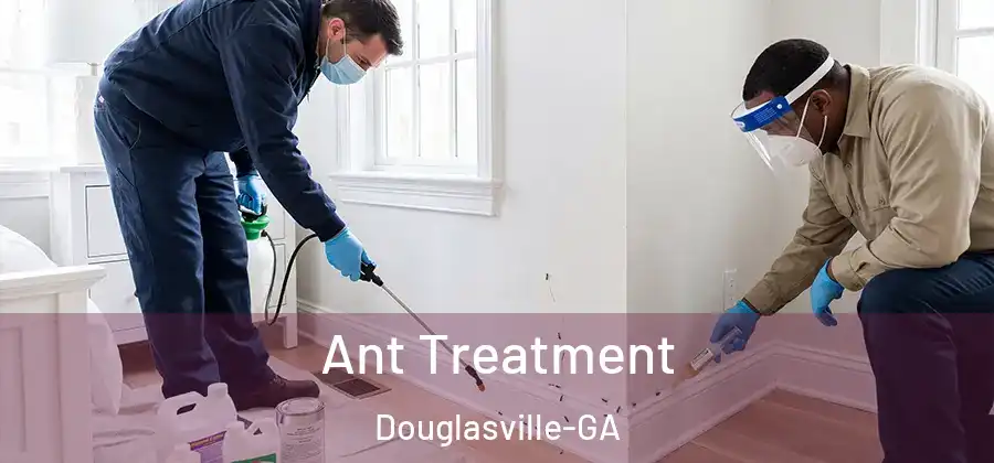 Ant Treatment Douglasville-GA