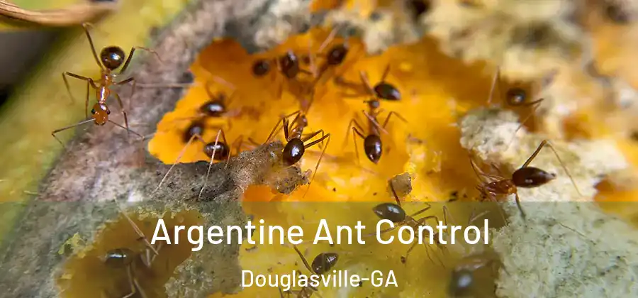 Argentine Ant Control Douglasville-GA