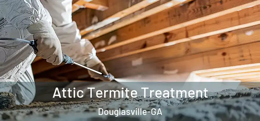 Attic Termite Treatment Douglasville-GA