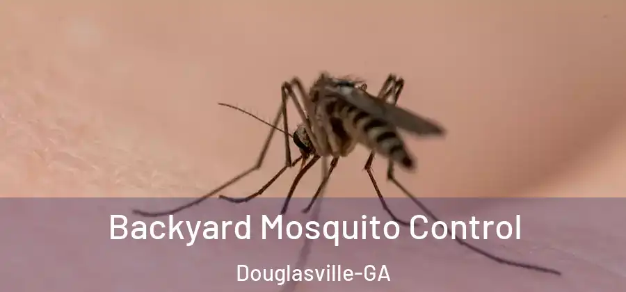Backyard Mosquito Control Douglasville-GA