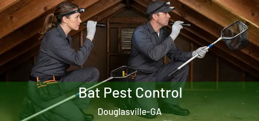  Bat Pest Control Douglasville-GA