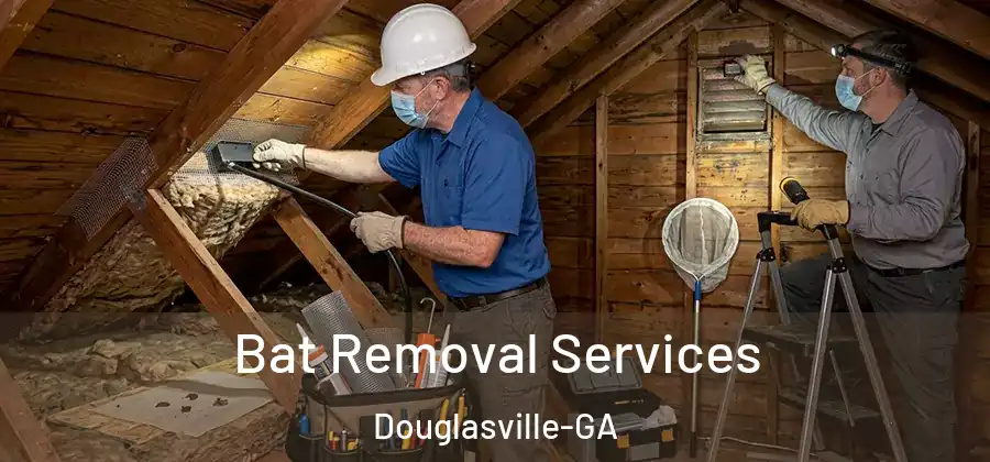  Bat Removal Services Douglasville-GA