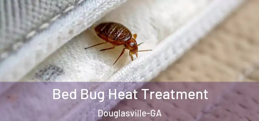 Bed Bug Heat Treatment Douglasville-GA