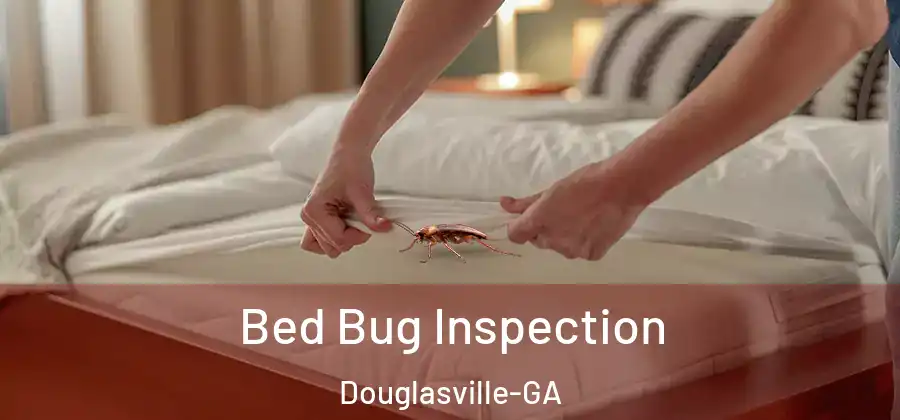Bed Bug Inspection Douglasville-GA