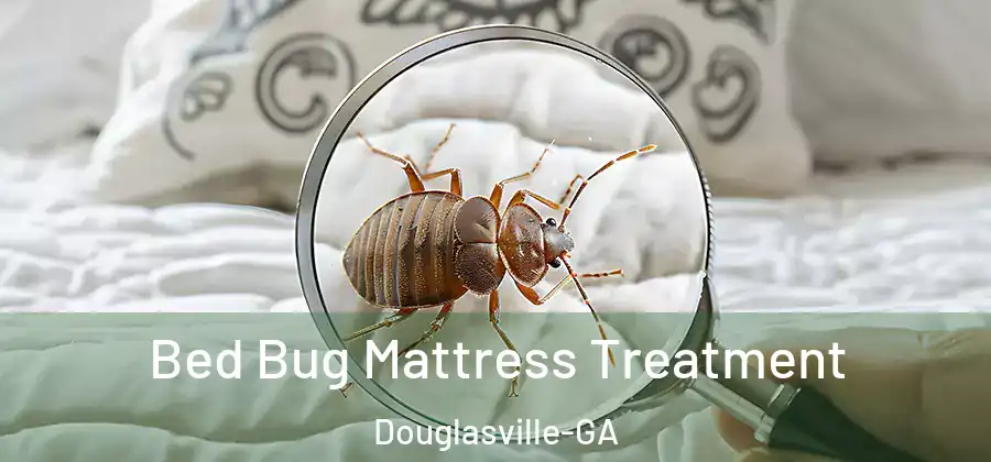 Bed Bug Mattress Treatment Douglasville-GA