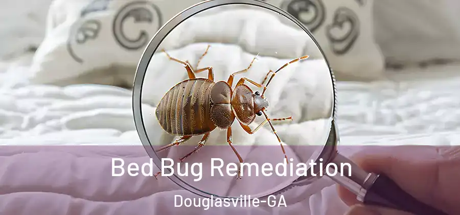 Bed Bug Remediation Douglasville-GA