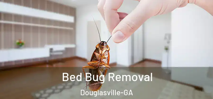Bed Bug Removal Douglasville-GA