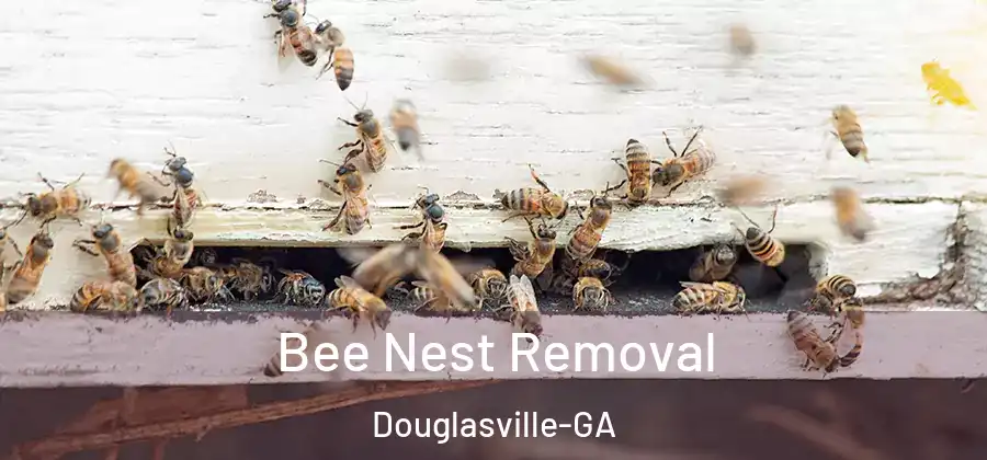 Bee Nest Removal Douglasville-GA