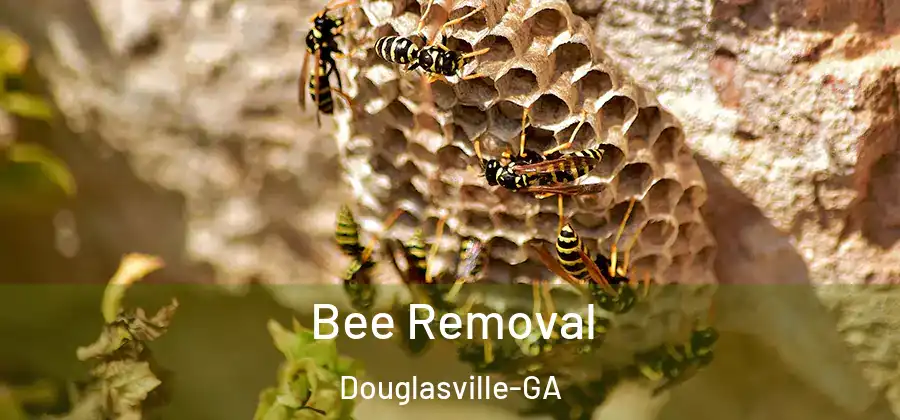 Bee Removal Douglasville-GA