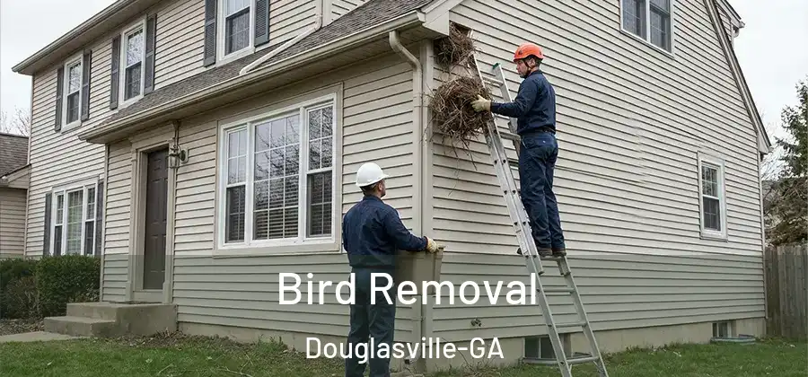  Bird Removal Douglasville-GA