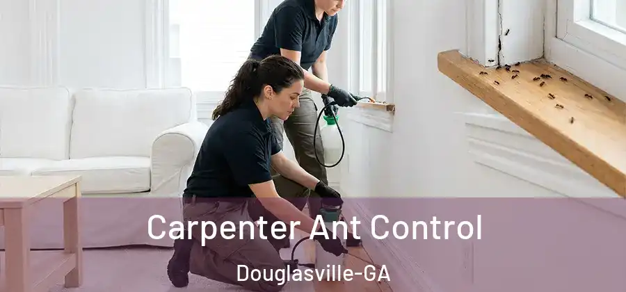 Carpenter Ant Control Douglasville-GA