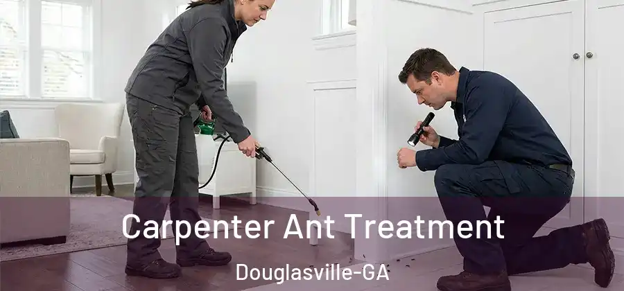 Carpenter Ant Treatment Douglasville-GA