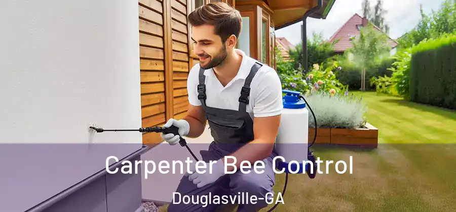 Carpenter Bee Control Douglasville-GA