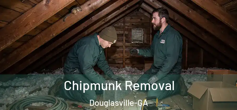 Chipmunk Removal Douglasville-GA