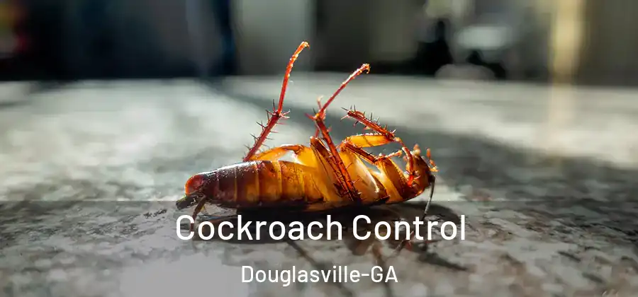  Cockroach Control Douglasville-GA