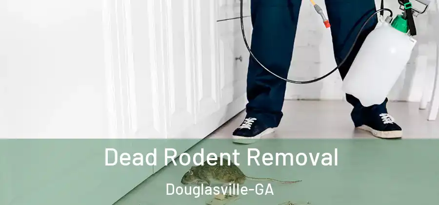 Dead Rodent Removal Douglasville-GA