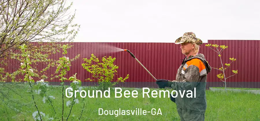  Ground Bee Removal Douglasville-GA