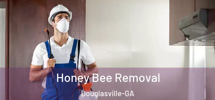  Honey Bee Removal Douglasville-GA