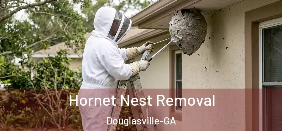  Hornet Nest Removal Douglasville-GA