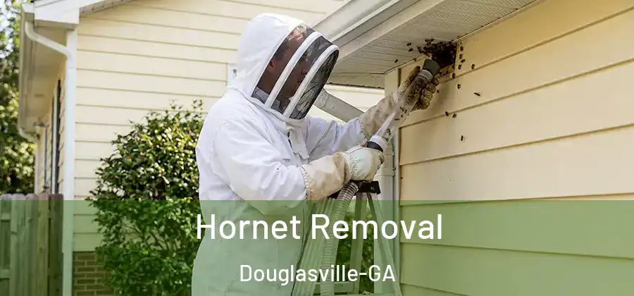Hornet Removal Douglasville-GA