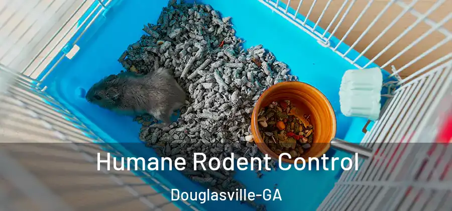  Humane Rodent Control Douglasville-GA
