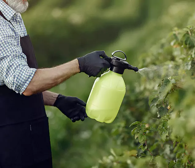 Your Proven Mosquito Treatment Company in Douglasville, GA
