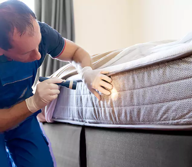 Trusted Bed Bug Cost Experts in Douglasville, GA