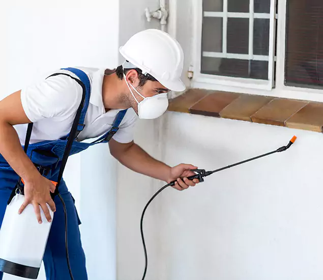 Your Professional Cockroach Exterminator in Douglasville, GA