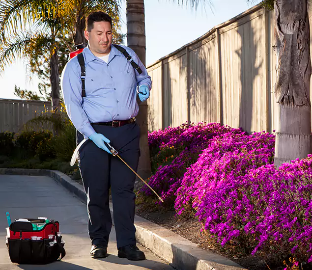 About Our Eco Safe Pest Control Experts in Douglasville, GA