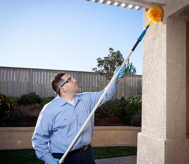 Trusted Experts in Douglasville GA for Formosan Termite Treatment and Black Termite Control