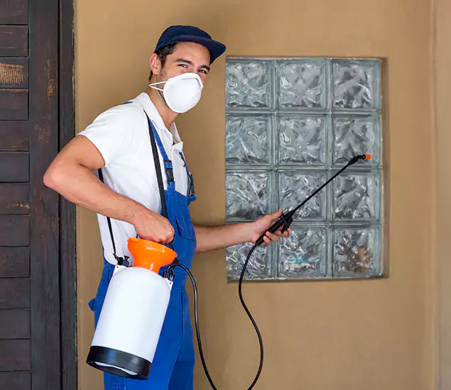 About Heat Treatment for Termites Experts in Douglasville, GA