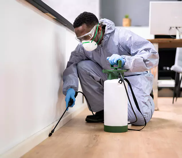Leading Industrial Pest Control Experts Serving Douglasville, GA