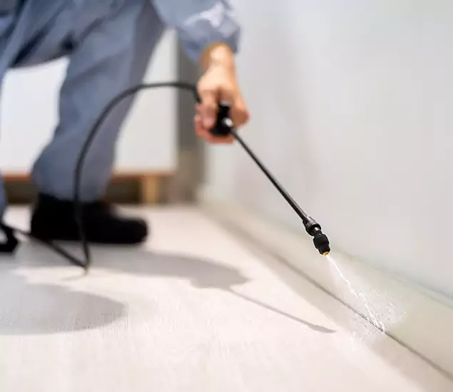 About Our Liquid Termite Treatment Experts in Douglasville, GA