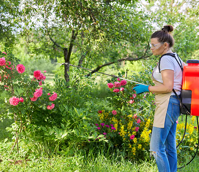 Your Trusted Mosquito Exterminator in Douglasville, GA