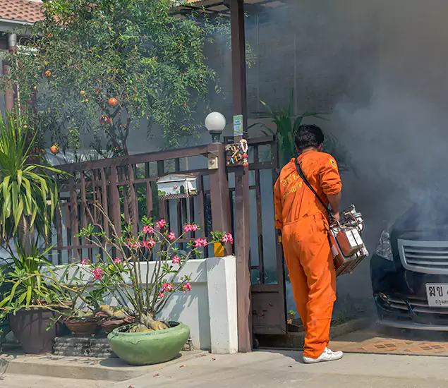 Your Proven Mosquito Fogging Company in Douglasville, GA
