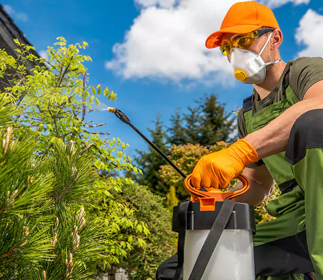 Your Best Bug Spray for Home Team in Douglasville, GA