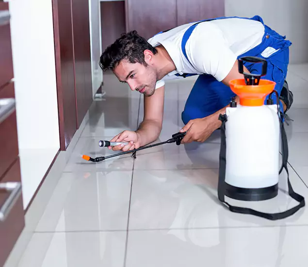 Reliable Professional Mouse Removal: Your Best Mouse Control Company in Douglasville, GA