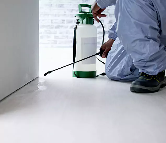 Affordable Pest Control Experts in Douglasville, GA