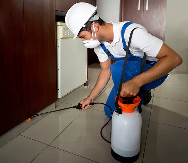 Advanced Termite Pre Treatment Experts in Douglasville, GA