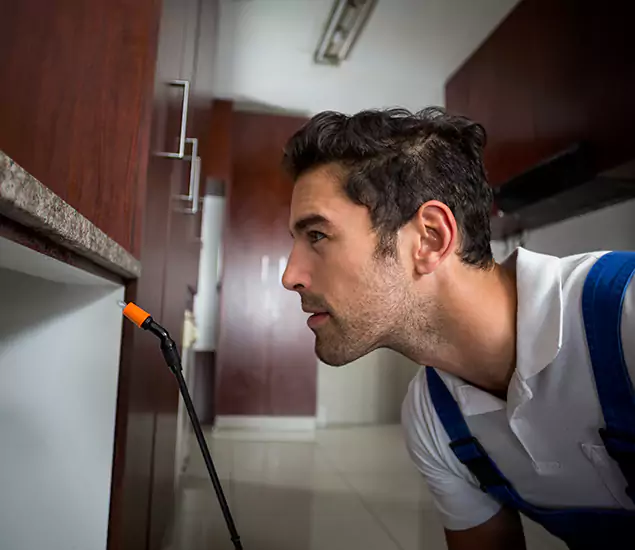 Expert Rodent in Attic Removal: Your Proven Pest Specialists in Douglasville, GA
