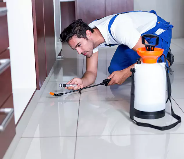 Advanced Slab Termite Treatment Experts You Can Trust&nbsp;in Douglasville, GA