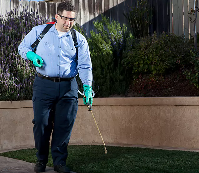 Reliable Termite Barrier Treatment Experts in Douglasville, GA