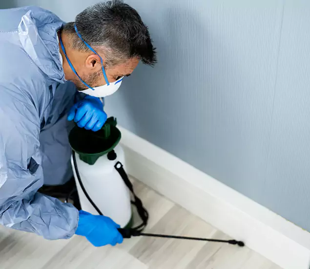 Reliable Termite Cost Experts in Douglasville, GA
