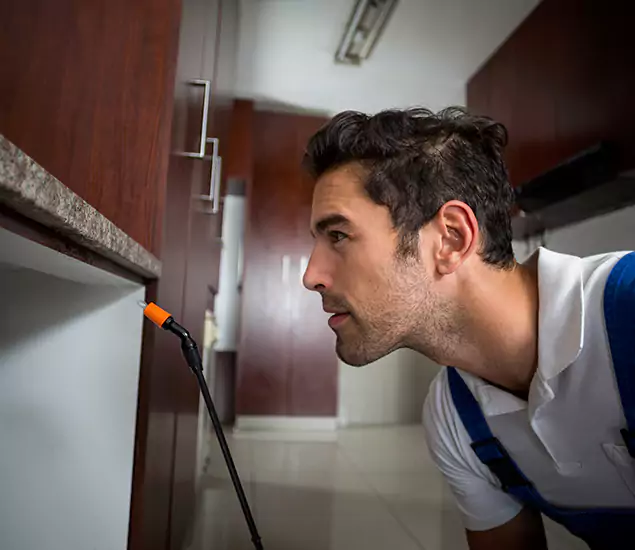 Termite Inspection Cost Experts You Can Trust in Douglasville, GA