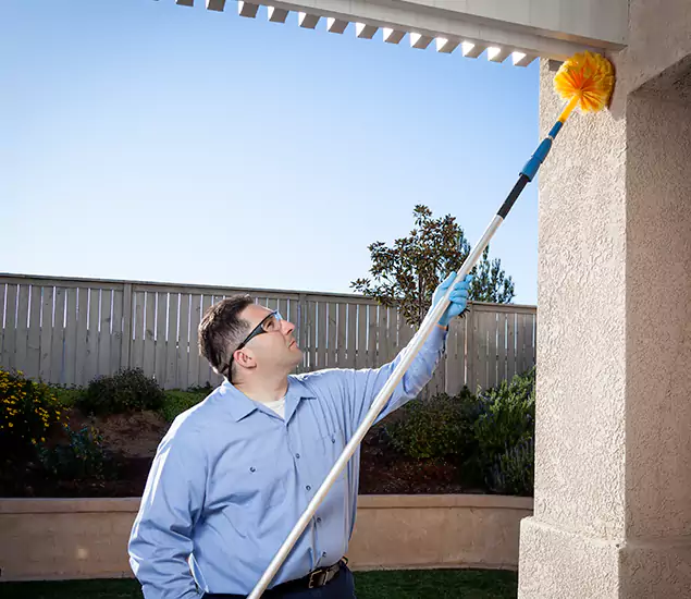 Your Trusted Wasp Removal Company in Douglasville, GA