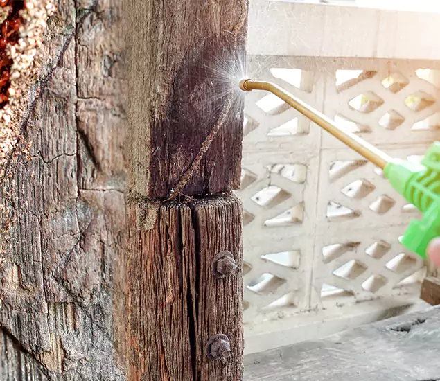About Wood Termite Treatment Services in Douglasville, GA