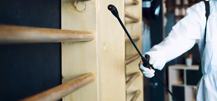 Attic Wood Termite Treatment in Douglasville