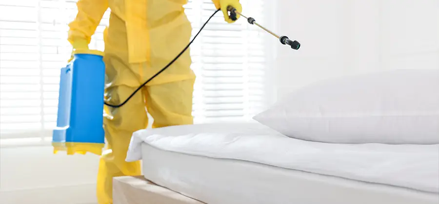 Targeted Chemical Application in Douglasville