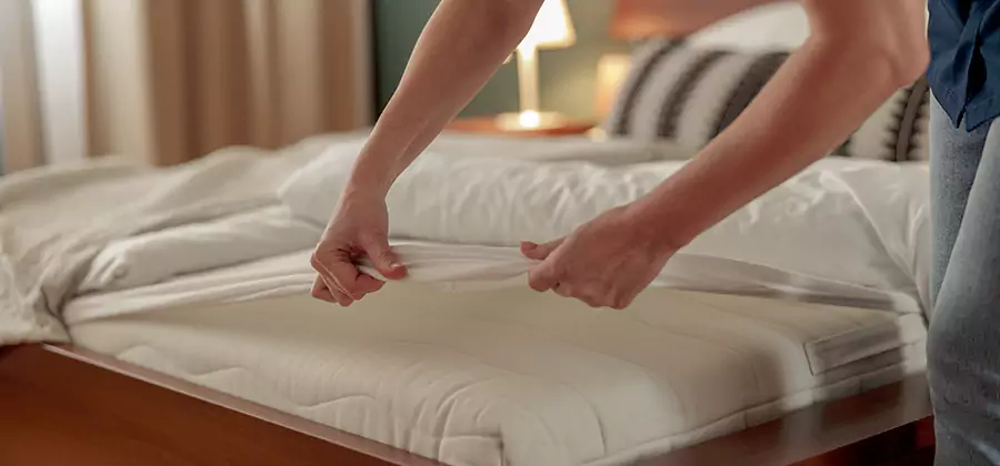 Bed Bug Extermination Services in Douglasville